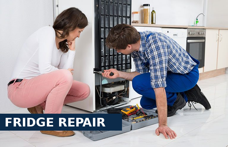 Fridge Repair South Norwood